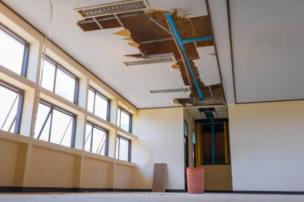 Best Flooded house restoration  in San Lorenzo, CA