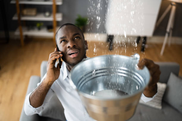 Best Basement water damage restoration  in San Lorenzo, CA