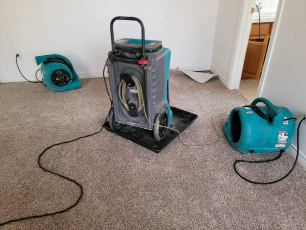 Best Ceiling water damage repair  in San Lorenzo, CA