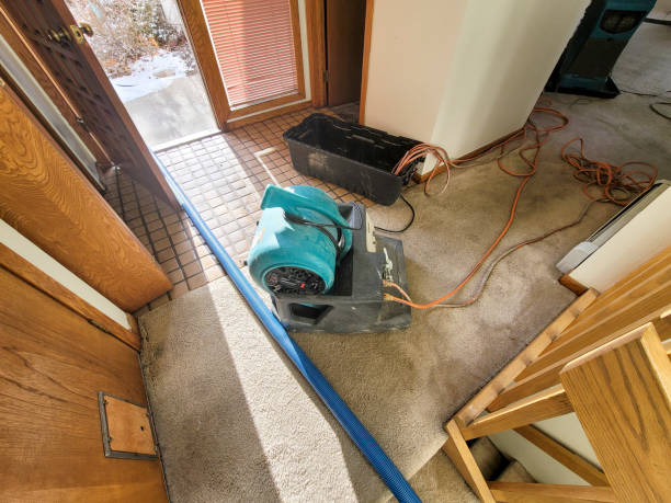 Best 24-hour water damage restoration  in San Lorenzo, CA