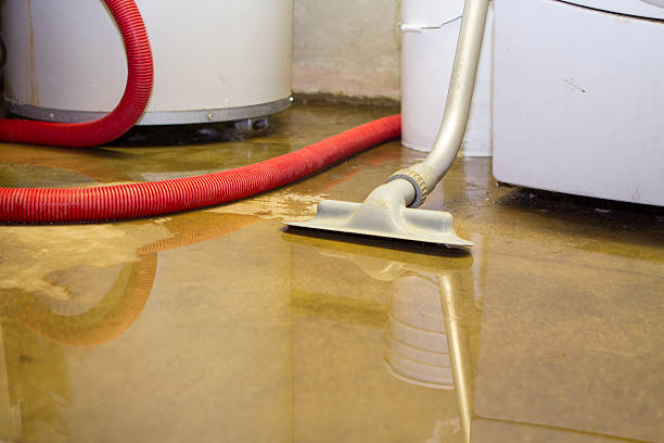 Best Water damage restoration specialists  in San Lorenzo, CA