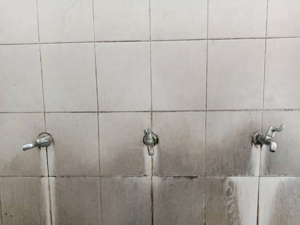 Best Emergency water extraction  in San Lorenzo, CA
