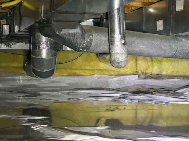 Best Residential water damage restoration  in San Lorenzo, CA