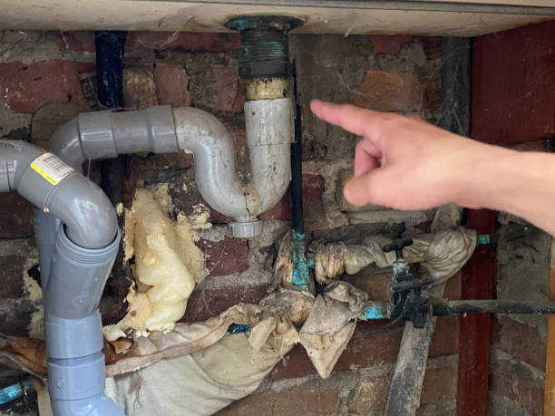 Best Carpet water damage restoration  in San Lorenzo, CA