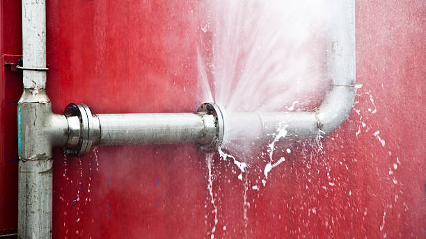 Best Professional water damage repair  in San Lorenzo, CA